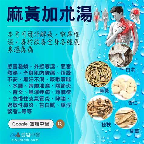 麻黃加朮湯|中藥方劑圖像數據庫